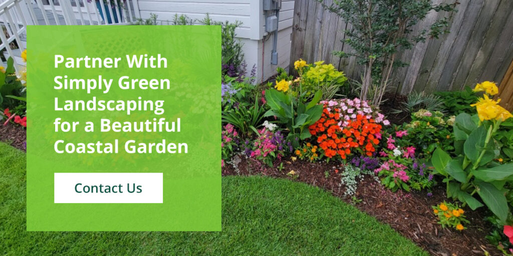Partner with Simply Green Landscaping for a beautiful coastal garden