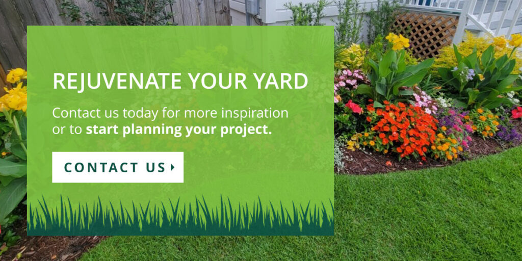 Rejuvenate your yard