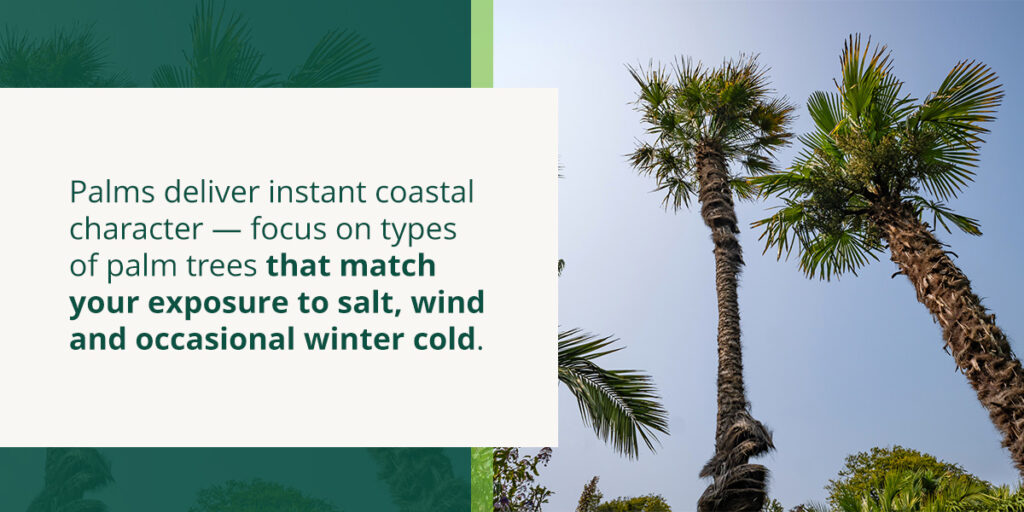 Choosing a palm tree for Charleston