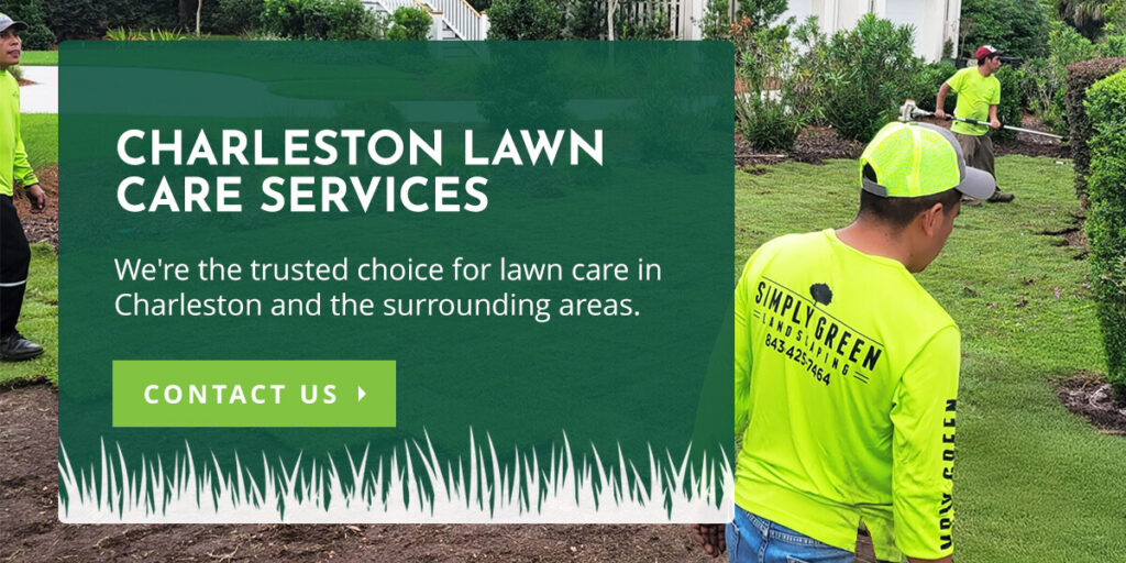 Charleston lawn care services