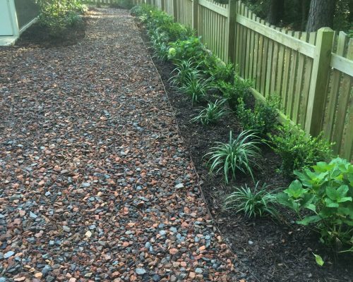 Residential landscape management in Charleston, SC