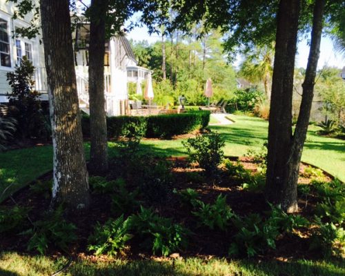 Landscape design and installation near Mount Pleasant, SC