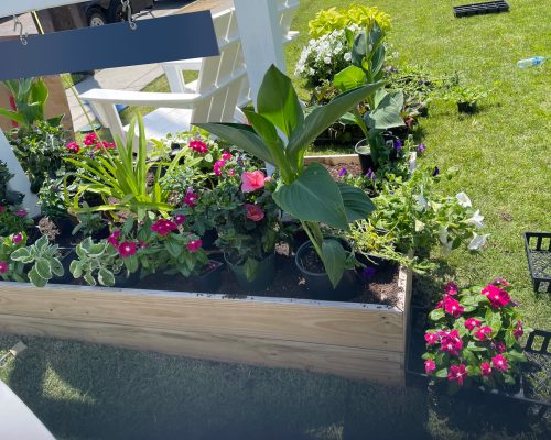 Yard cleanup service and maintenance in Charleston, SC