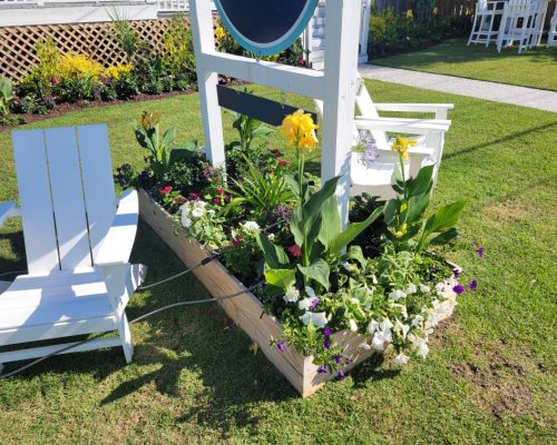 Commercial flower bed maintenance in Charleston, SC
