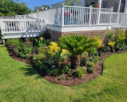 Commercial lawn maintenance near Charleston, SC