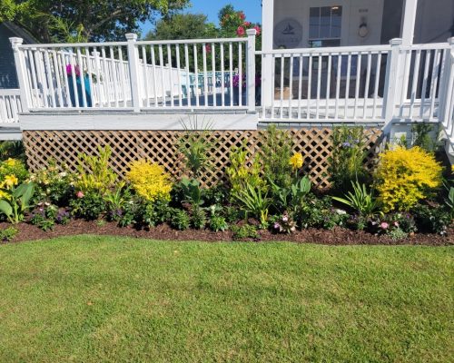 Commercial lawn maintenance services near Mount Pleasant, SC