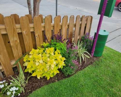 Commercial landscaping with flowers along a fence