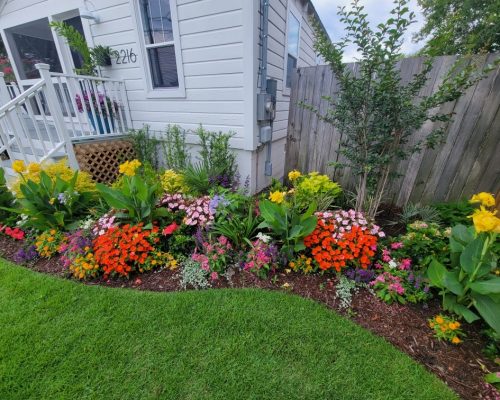 Lawn installation and maintenance experts in Charleston, SC